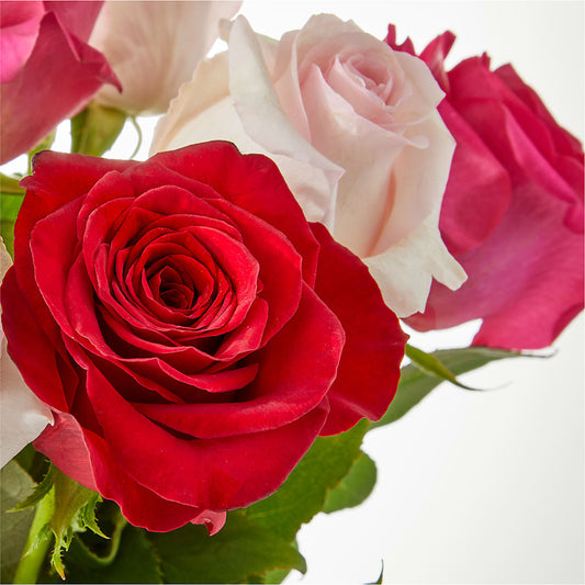 Charming Rose Bouquet – TOWN CENTER FLORIST & GIFTS INC, Orlando FL