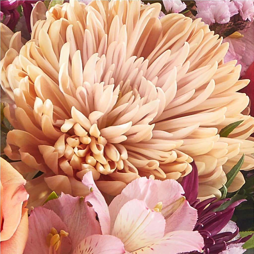 Berry Cobbler Bouquet – TOWN CENTER FLORIST & GIFTS INC, Orlando FL
