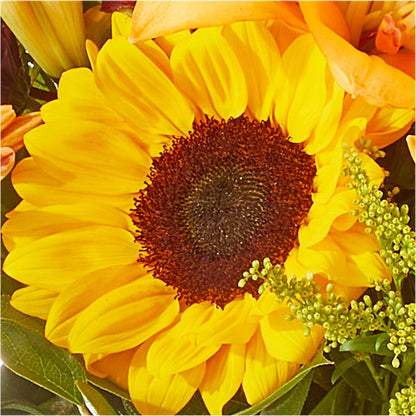 Seasons Change Bouquet – TOWN CENTER FLORIST & GIFTS INC, Orlando FL