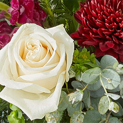Cranberry Fizz Bouquet – TOWN CENTER FLORIST & GIFTS INC, Orlando FL