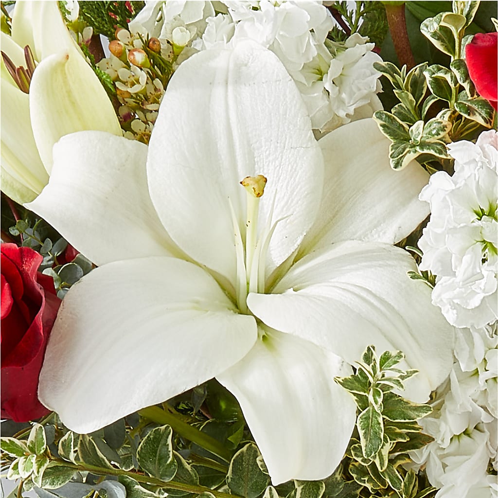 Twinkle Lights Bouquet – TOWN CENTER FLORIST & GIFTS INC, Orlando FL