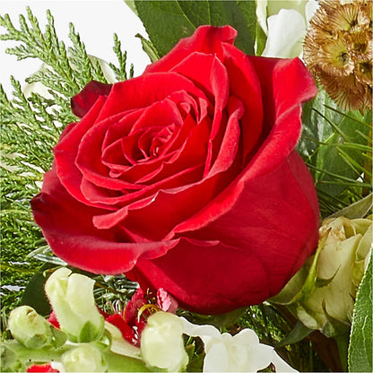 Deck the Halls Bouquet – TOWN CENTER FLORIST & GIFTS INC, Orlando FL