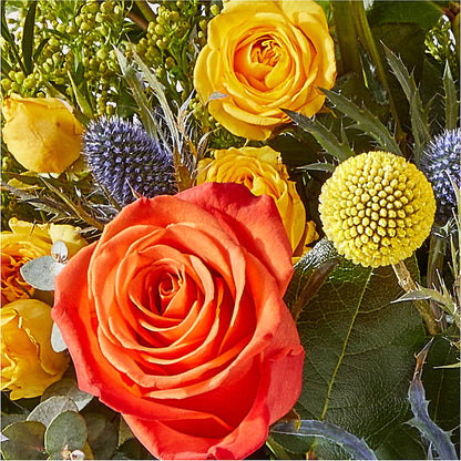 Disco Bouquet – TOWN CENTER FLORIST & GIFTS INC, Orlando FL