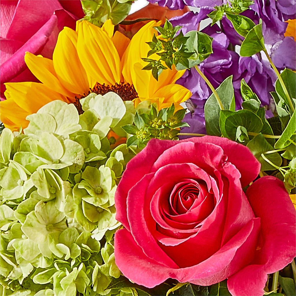 Vibrant Greetings Bouquet – TOWN CENTER FLORIST & GIFTS INC, Orlando FL
