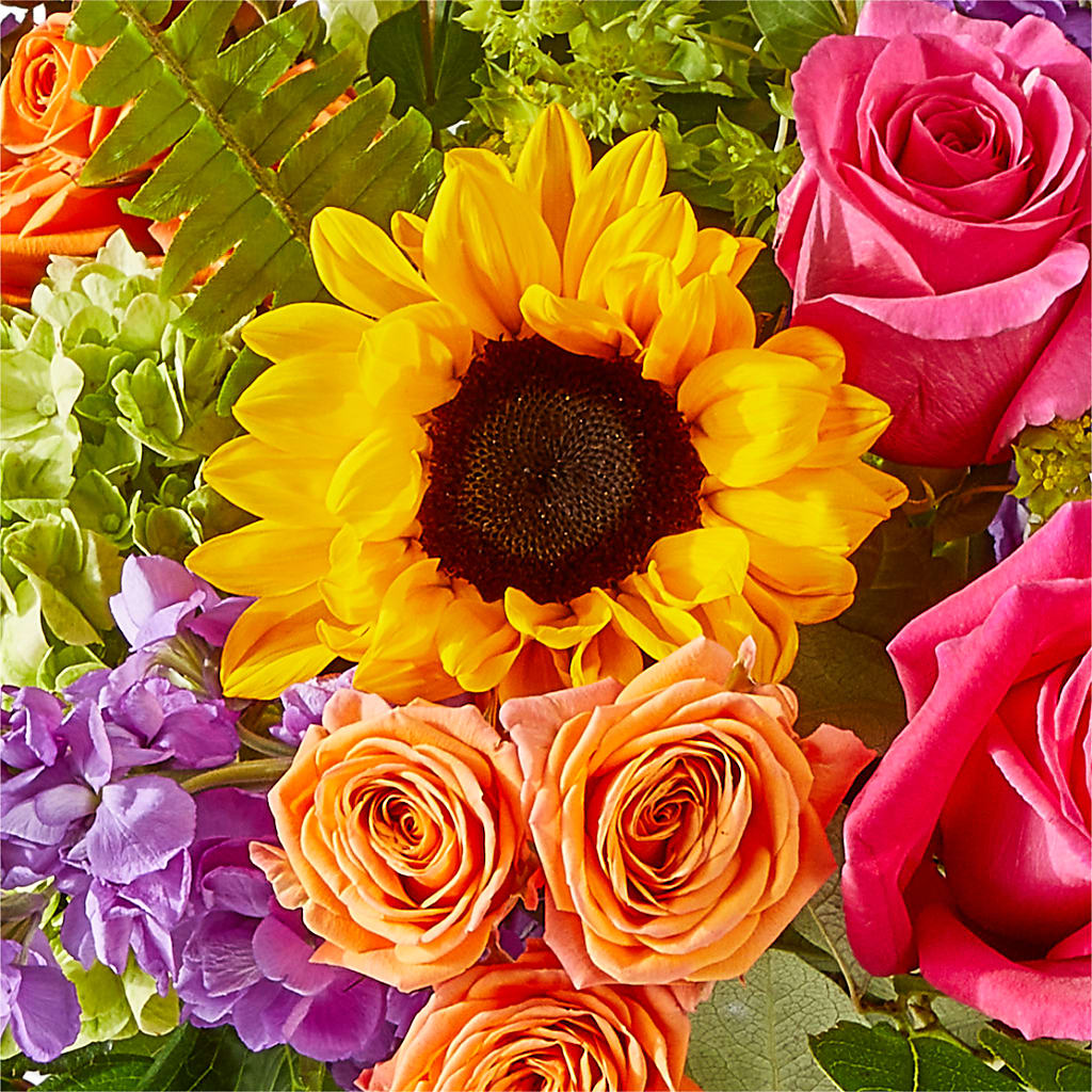 Vibrant Greetings Bouquet – TOWN CENTER FLORIST & GIFTS INC, Orlando FL