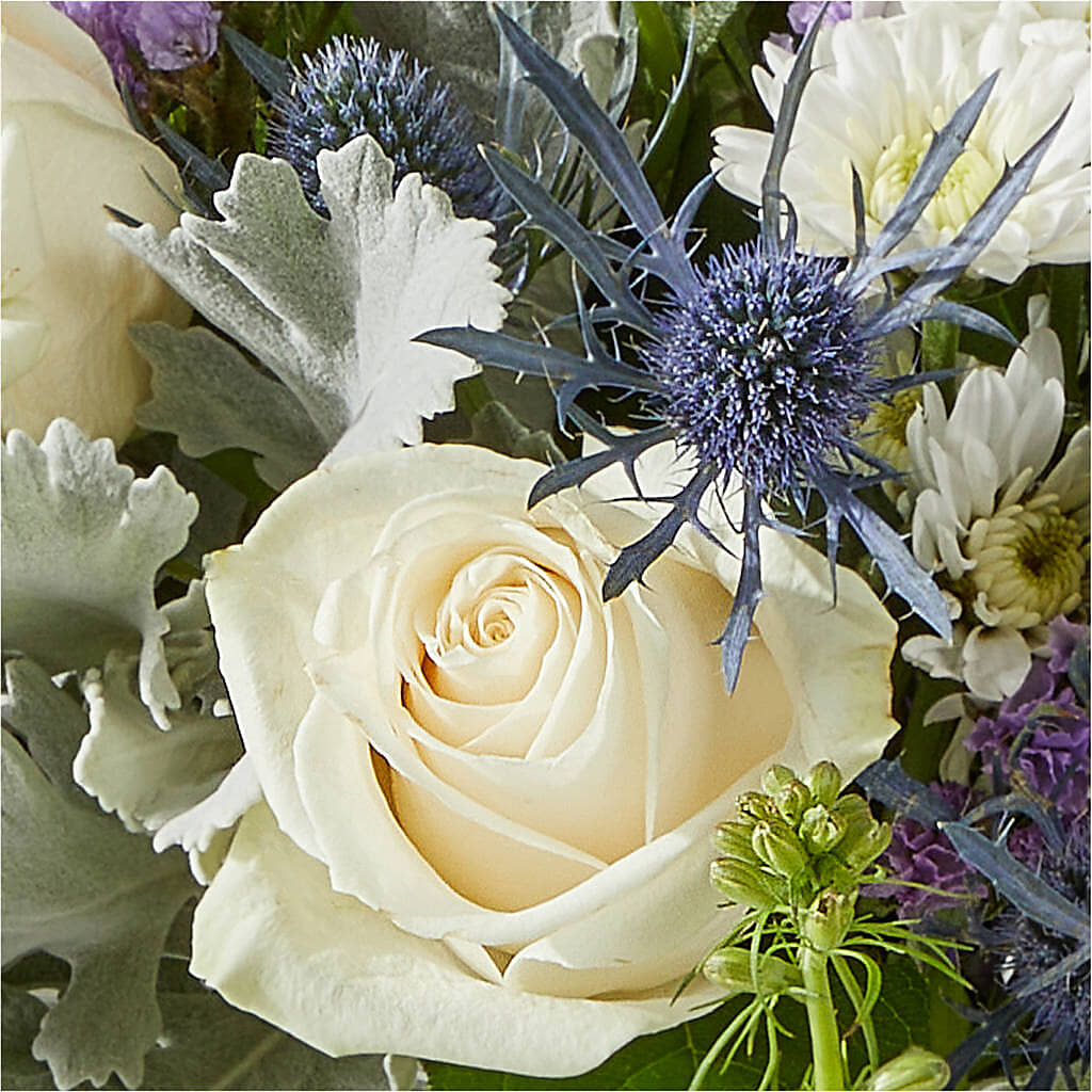 Shooting Star Bouquet – TOWN CENTER FLORIST & GIFTS INC, Orlando FL