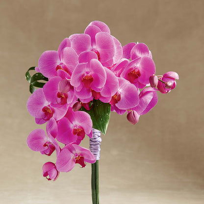 Glorious Bouquet – TOWN CENTER FLORIST & GIFTS INC, Orlando FL