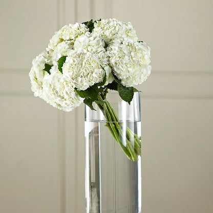 White Hydrangea Hand-Tied Bouquet – TOWN CENTER FLORIST & GIFTS INC, Orlando FL