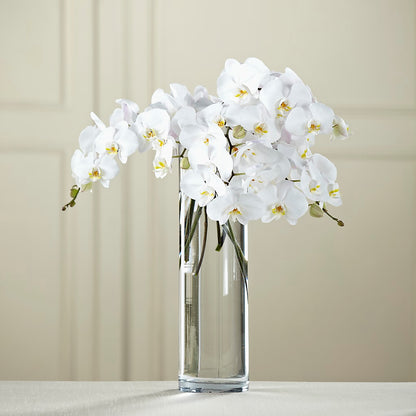White Phalaenopsis Bouquet – TOWN CENTER FLORIST & GIFTS INC, Orlando FL