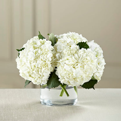 White Hydrangea Bouquet – TOWN CENTER FLORIST & GIFTS INC, Orlando FL