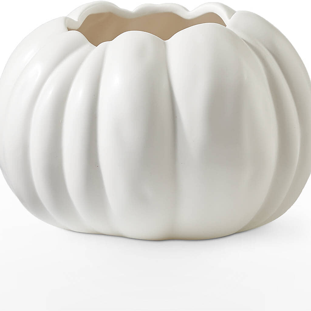 Pumpkin to Talk About Bouquet – TOWN CENTER FLORIST & GIFTS INC, Orlando FL